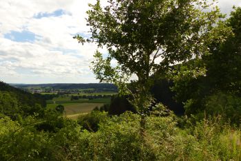Alpenblick am Tiergraben