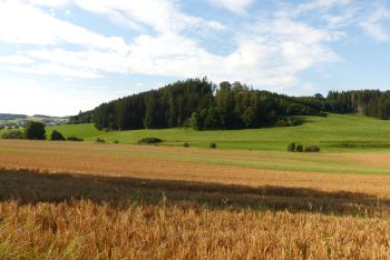 Das Weldishof Bachtal